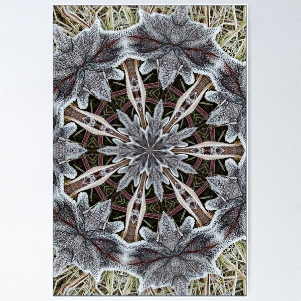 Artikelvorschau, Bereiftes Blatt-Kaleidoskop entworfen und verkauft von AuroraJim.