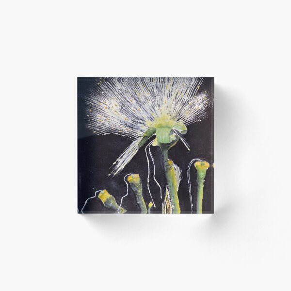 Item preview, Dandelion designed and sold by SubodhArtStudio.