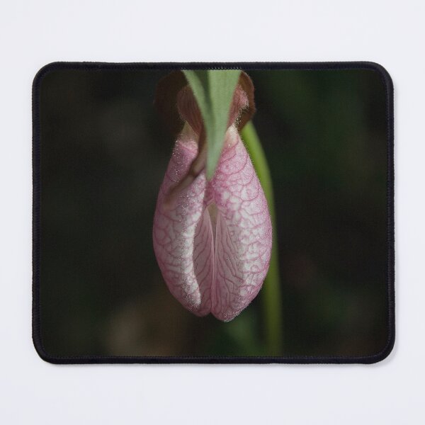 Item preview, Delicat Beauty designed and sold by Gisele Bedard.