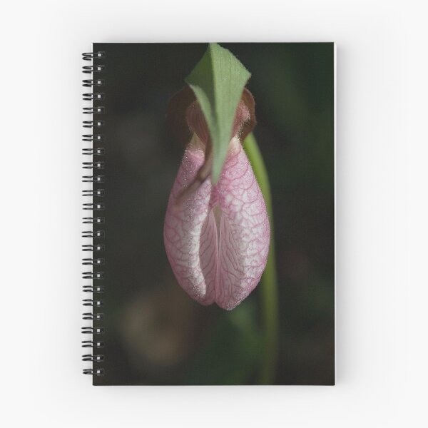 Item preview, Delicat Beauty designed and sold by Gisele Bedard.