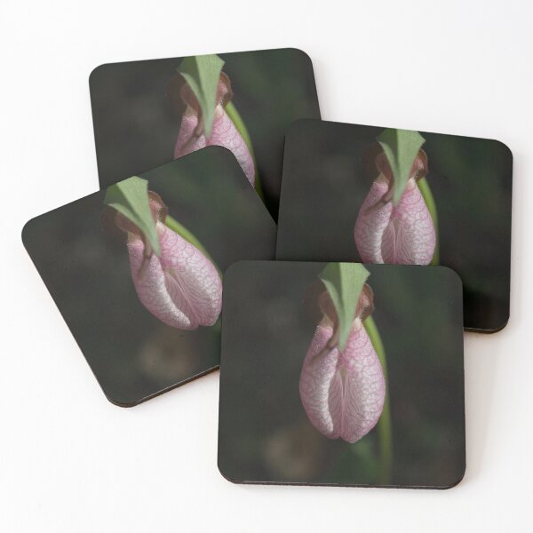 Item preview, Delicat Beauty designed and sold by Gisele Bedard.