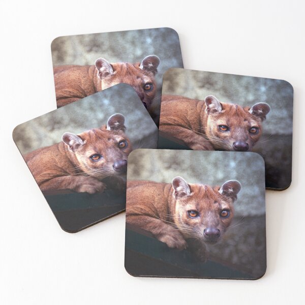 Item preview, Fosa designed and sold by Savannah Gibbs.