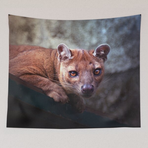 Item preview, Fossa designed and sold by Savannah Gibbs.
