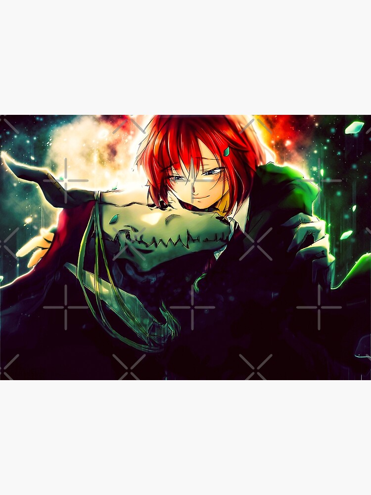 Anime, The Ancient Magus' Bride, Chise Hatori, HD wallpaper | Peakpx