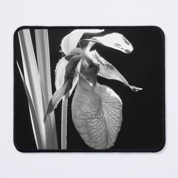 Item preview, Lady's Slipper designed and sold by Gisele Bedard.