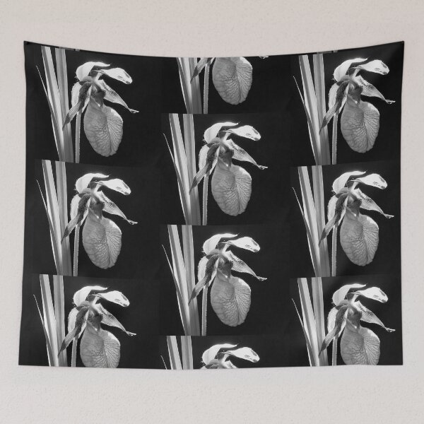 Item preview, Lady's Slipper designed and sold by Gisele Bedard.