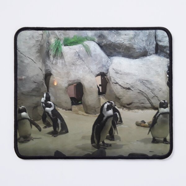 Item preview, Penguins, NJ designed and sold by Seiko's Nature + Architecture Photography:.