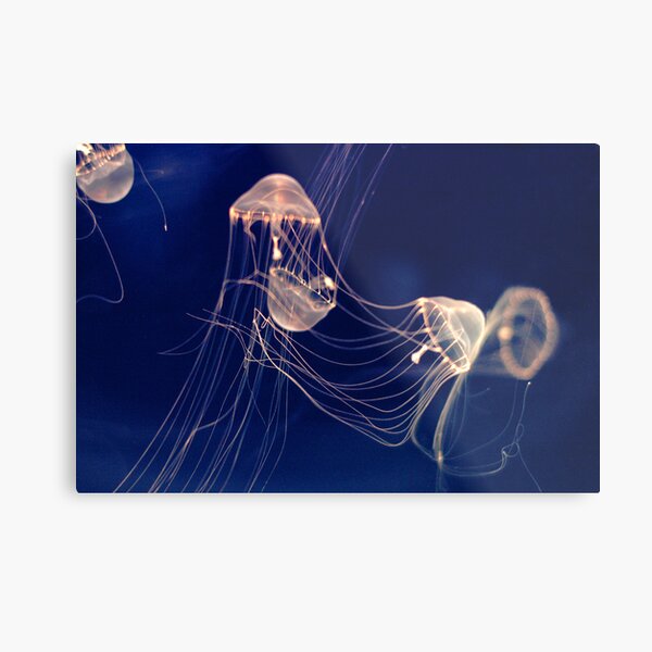 Silent dancers Metal Print