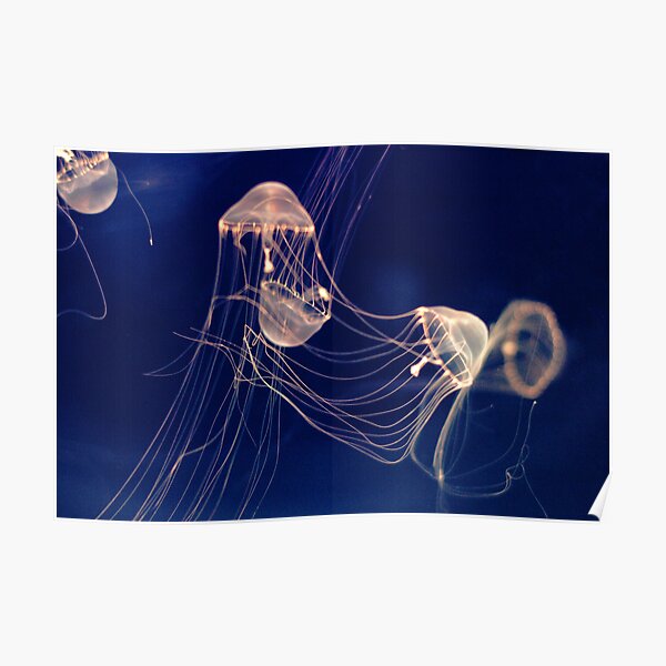 Silent dancers Poster