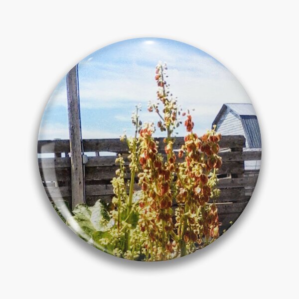 Item preview, Rhubarb Stalk in Flower, Barn Behind (on Black) designed and sold by GladBlackLamb.