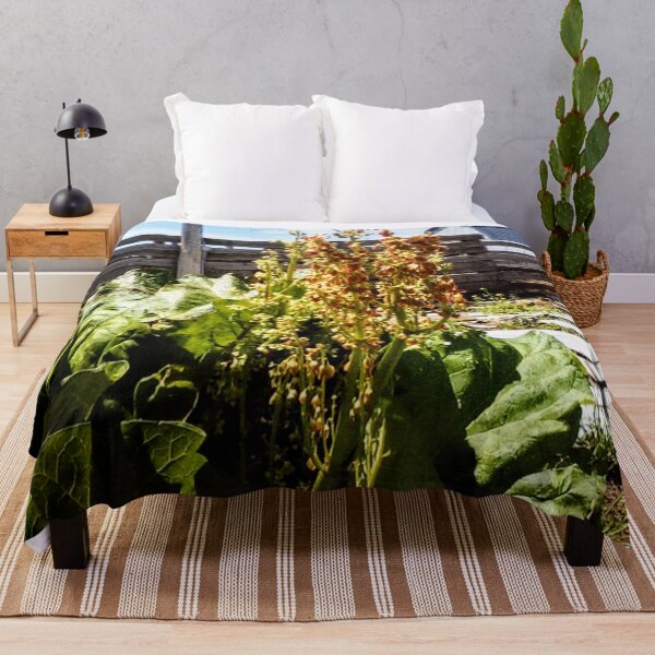 Item preview, Rhubarb Stalk in Flower, Barn Behind (on Black) designed and sold by GladBlackLamb.