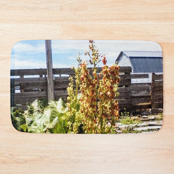Item preview, Rhubarb Stalk in Flower, Barn Behind (on Black) designed and sold by GladBlackLamb.