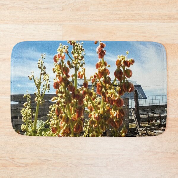 Item preview, Red Rhubarb Flowers, Barn Behind (on Black) designed and sold by GladBlackLamb.