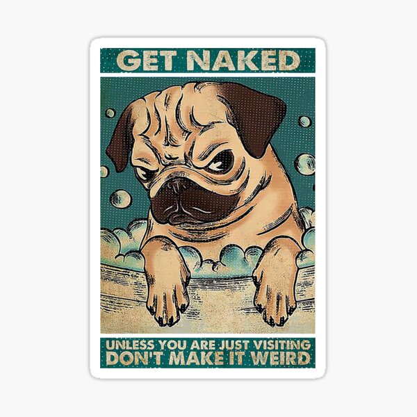 Pug Get Naked Unless You Are Just Visiting Don T Make It Weird Sticker For Sale By