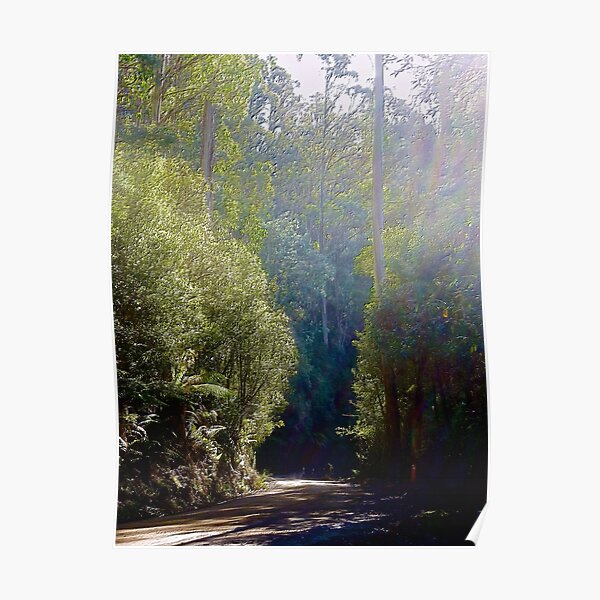 MT FIELD ~ SCENES & SCENERY ~ Winter Sun by tasmanianartist Poster