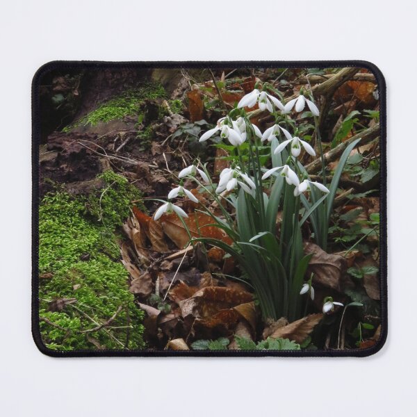 Item preview, The Snowdrop Collection designed and sold by wiggyofipswich.
