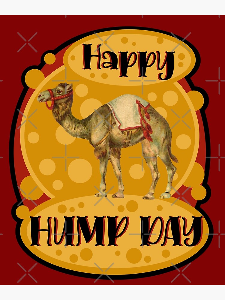 funny hump day ecard