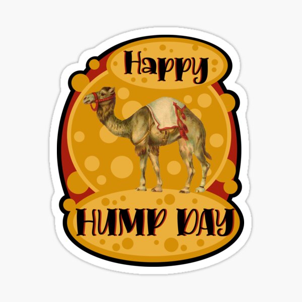 happy Hump day dahab camel Sticker for Sale by DahabClub