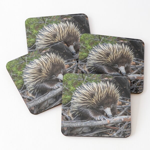 Item preview, Echidna Encounter designed and sold by Geoff Wols.