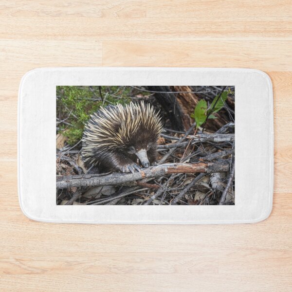 Item preview, Echidna Encounter designed and sold by Geoff Wols.
