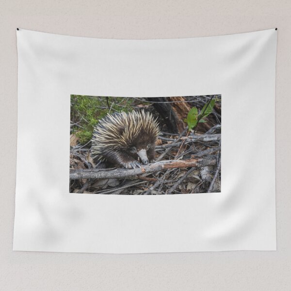 Item preview, Echidna Encounter designed and sold by Geoff Wols.