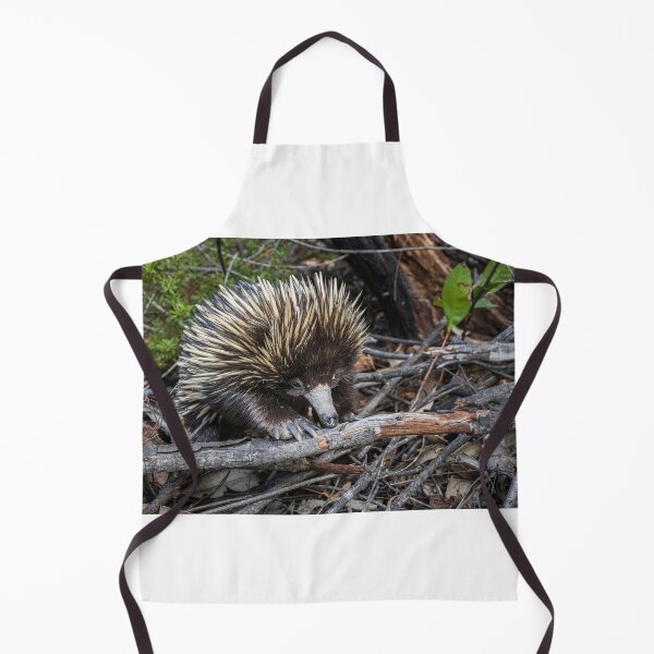 Item preview, Echidna Encounter designed and sold by Geoff Wols.