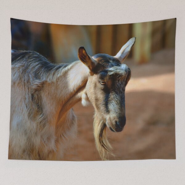 Item preview, Goat designed and sold by Savannah Gibbs.