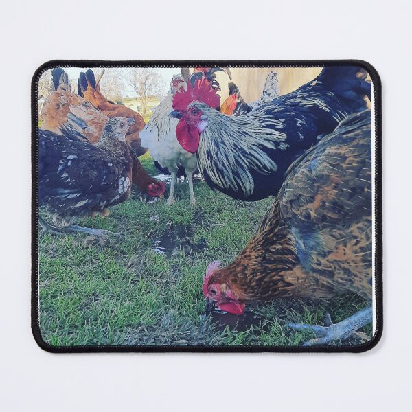 Item preview, Chickens and cock  designed and sold by Saratahirb.
