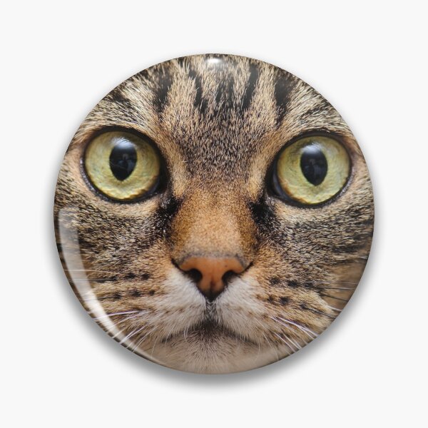 Item preview, brown cat designed and sold by elgranpoeta.