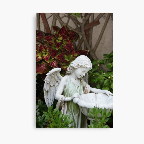 Filled with Gods Gift of fresh rain; Wat Garden, La Mirada, CA USA Canvas Print