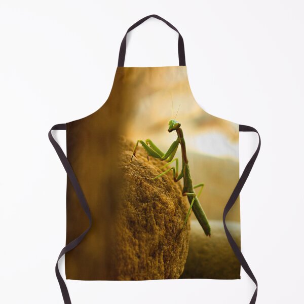 Item preview, mantis designed and sold by laura-S.