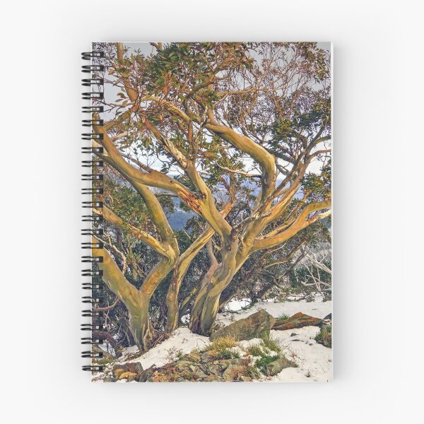 Item preview, Snowgum designed and sold by Harry Oldmeadow.