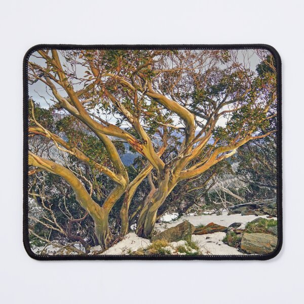Item preview, Snowgum designed and sold by Harry Oldmeadow.
