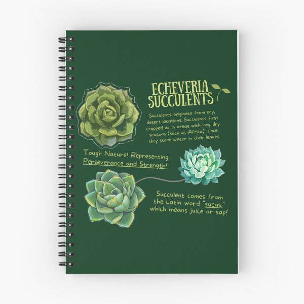 Item preview, Echeveria Succulent Fun Fact designed and sold by KyleNesas.
