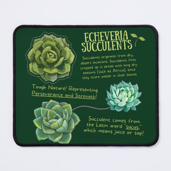 Item preview, Echeveria Succulent Fun Fact designed and sold by KyleNesas.