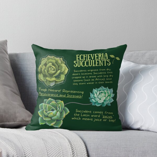 Item preview, Echeveria Succulent Fun Fact designed and sold by KyleNesas.