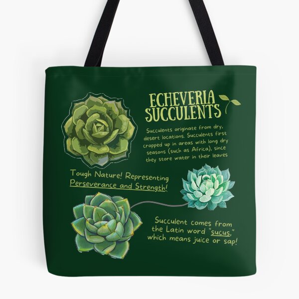 Item preview, Echeveria Succulent Fun Fact designed and sold by KyleNesas.