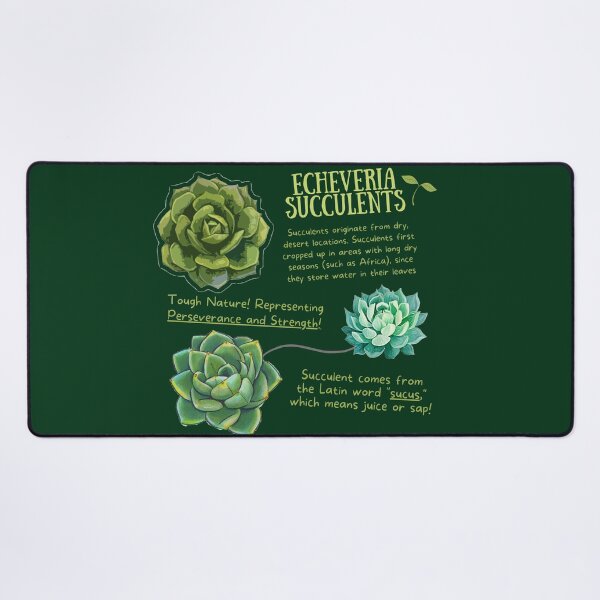 Item preview, Echeveria Succulent Fun Fact designed and sold by KyleNesas.