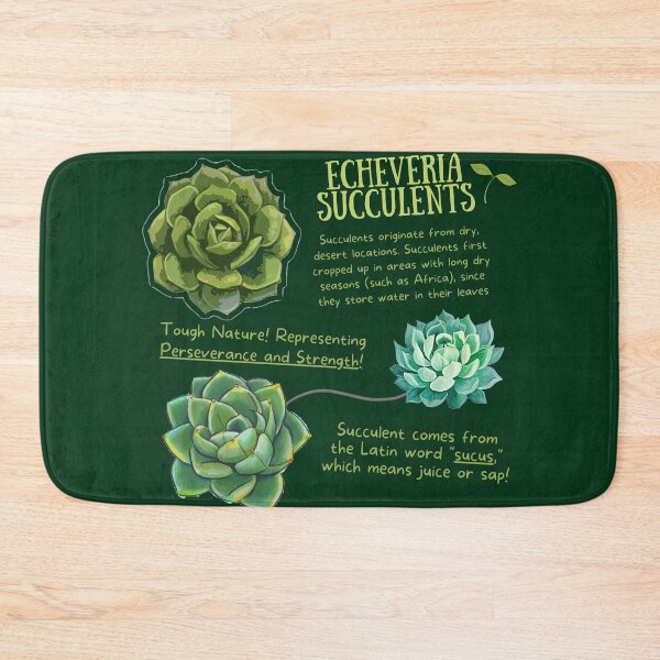 Item preview, Echeveria Succulent Fun Fact designed and sold by KyleNesas.