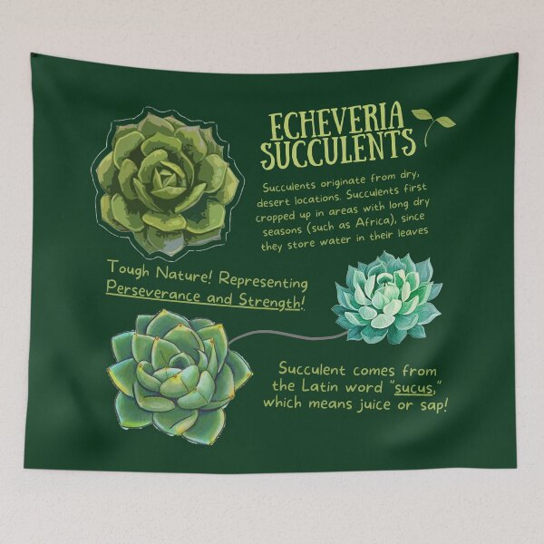 Item preview, Echeveria Succulent Fun Fact designed and sold by KyleNesas.