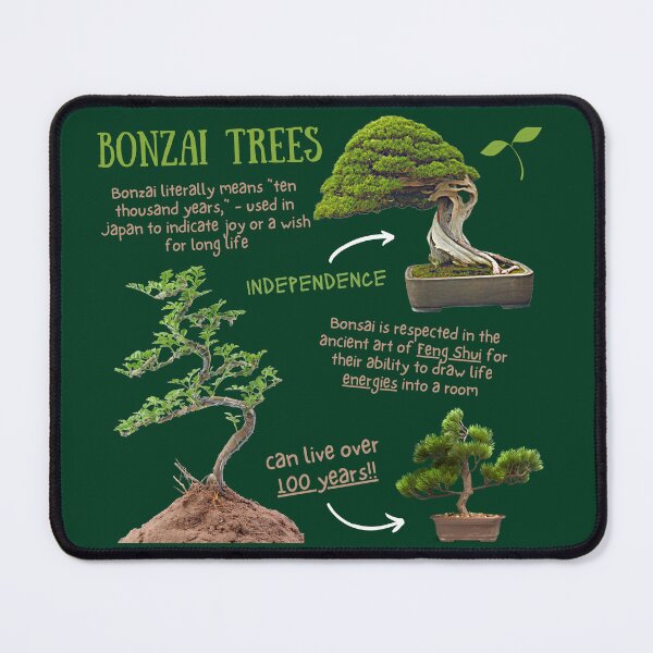Item preview, Bonzai Trees Fun Facts designed and sold by KyleNesas.