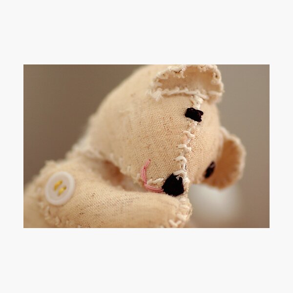 The Happy Bear Photographic Print