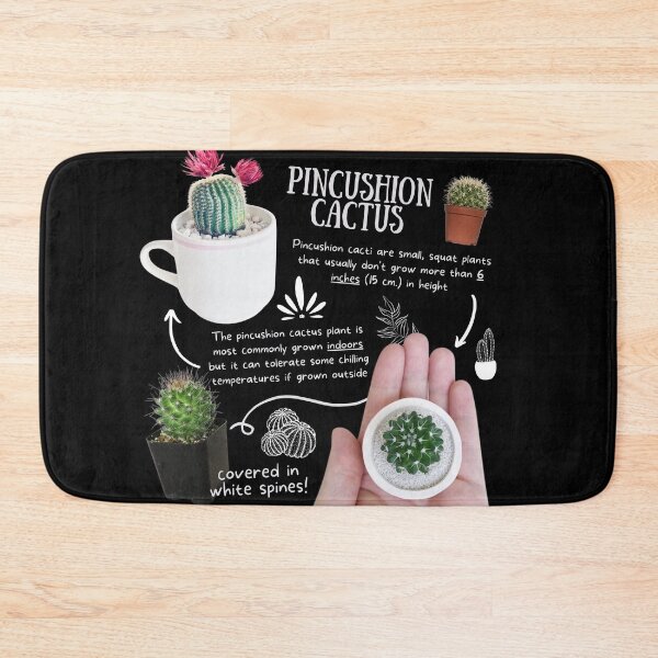 Item preview, Pincushion Cactus Fun Fact designed and sold by KyleNesas.