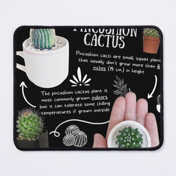 Item preview, Pincushion Cactus Fun Fact designed and sold by KyleNesas.