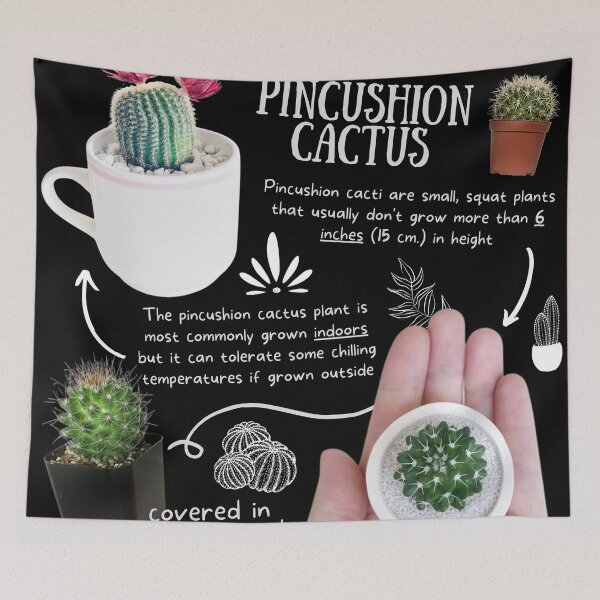 Item preview, Pincushion Cactus Fun Fact designed and sold by KyleNesas.