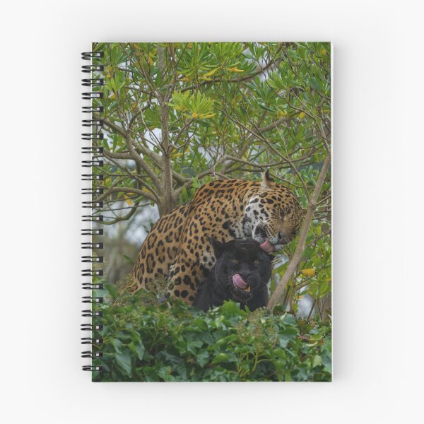 Item preview, Jaguar In Love designed and sold by rawshutterbug.