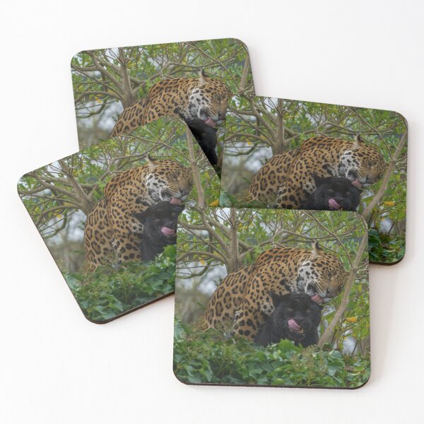 Item preview, Jaguar In Love designed and sold by rawshutterbug.