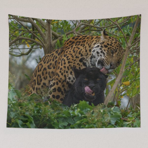 Item preview, Jaguar In Love designed and sold by rawshutterbug.