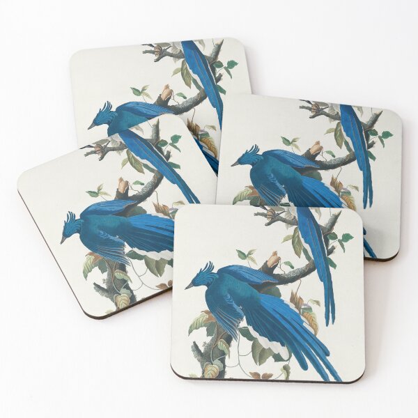 Item preview, Columbia Jay designed and sold by Art & Painting.