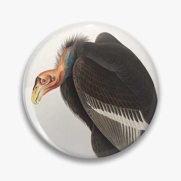 Item preview, Californian Vulture designed and sold by Art & Painting.